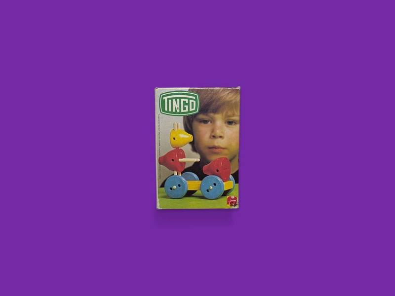 Tingo photographed on Bruno's purple Applied Games background