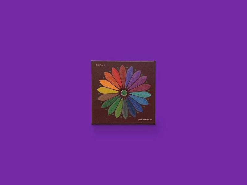 Érzésvirág photographed on Bruno's purple Applied Games background